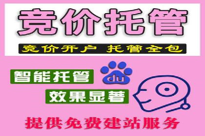 信息流竞价竞争策略：案例分析与实践